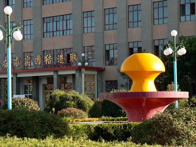 职业院校