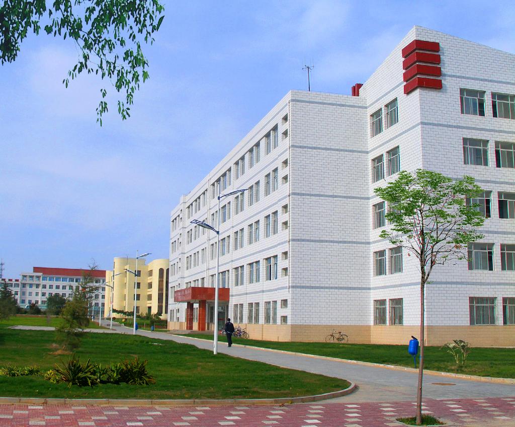 职业培训