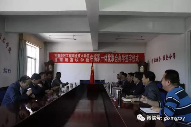 职业教育