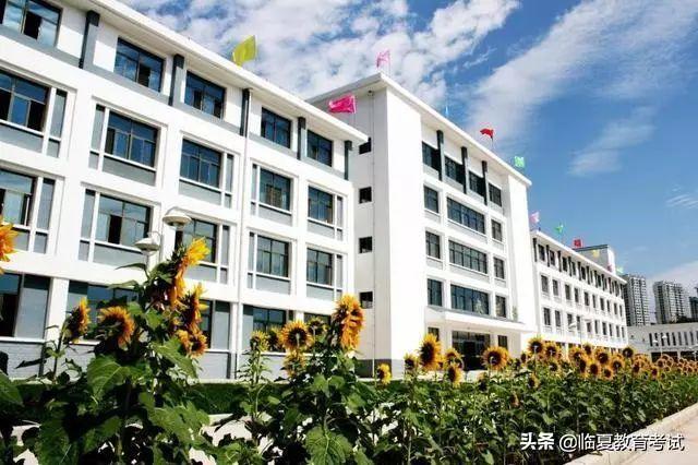 职业培训