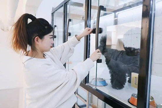 宠物美容专业怎么样?多渠道+好待遇,萌宠经济下的好选择!