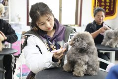 甘肃新东方烹饪学校春季班人气火爆，这些人群