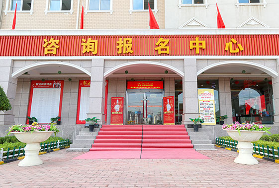 校园绿荫小道