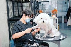 春季转学末班车！组团来甘肃新东方高级技工学